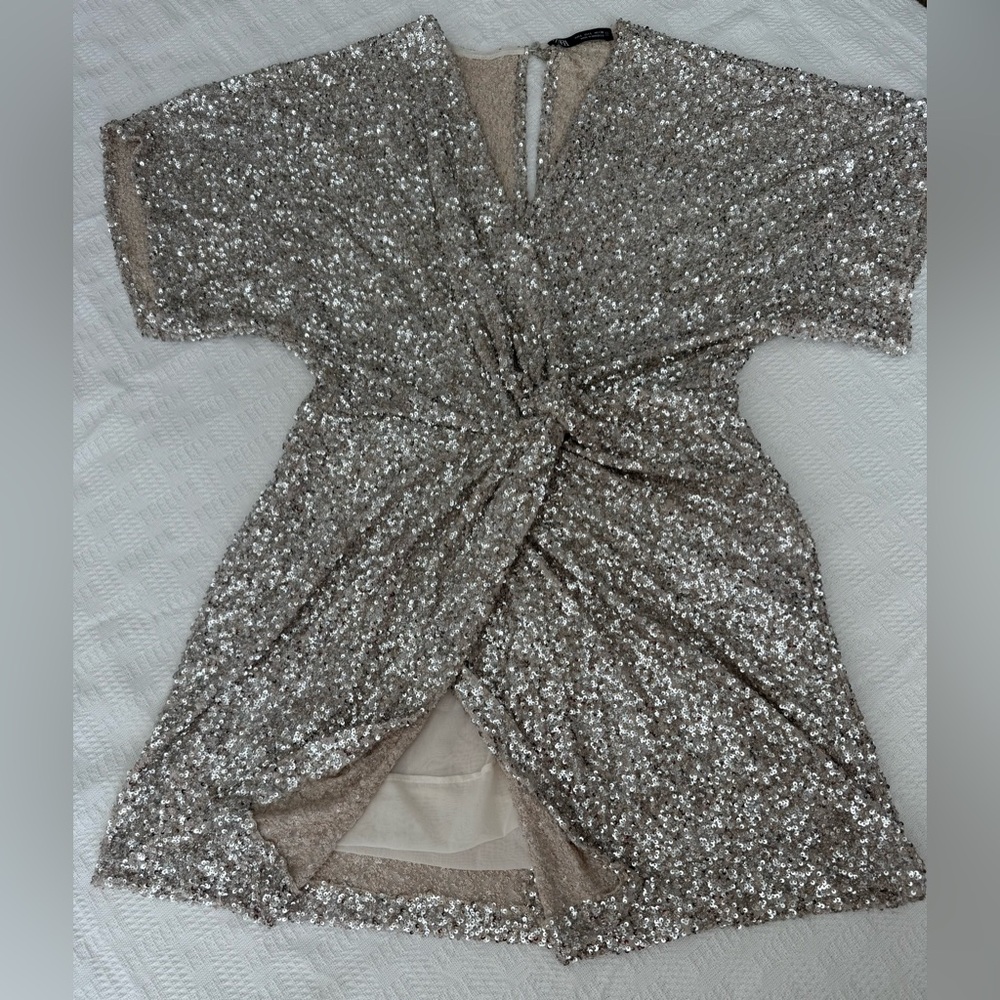 Zara Shimmering  Sequin Dress